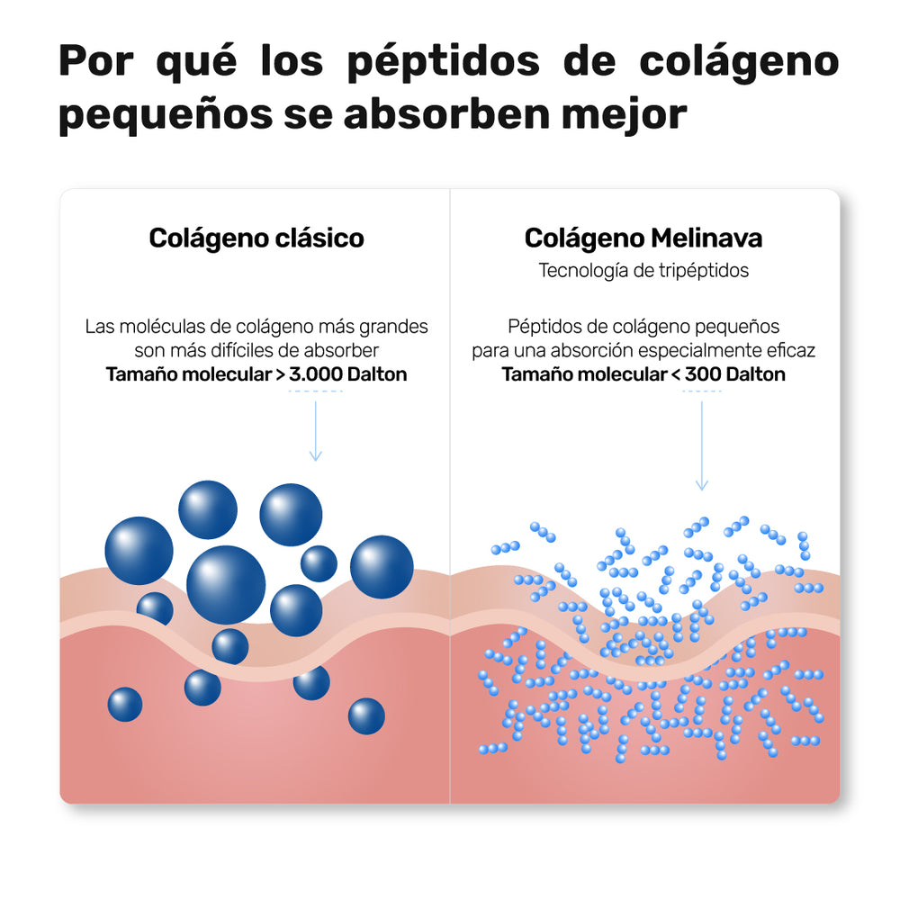 Comparación: colágeno clásico de unos 3.000 daltons frente a los tripéptidos de Melinava por debajo de 300 daltons